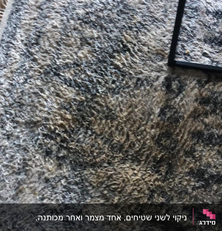 ניקוי לשני שטיחים, אחד מצמר ואחר מכותנה.